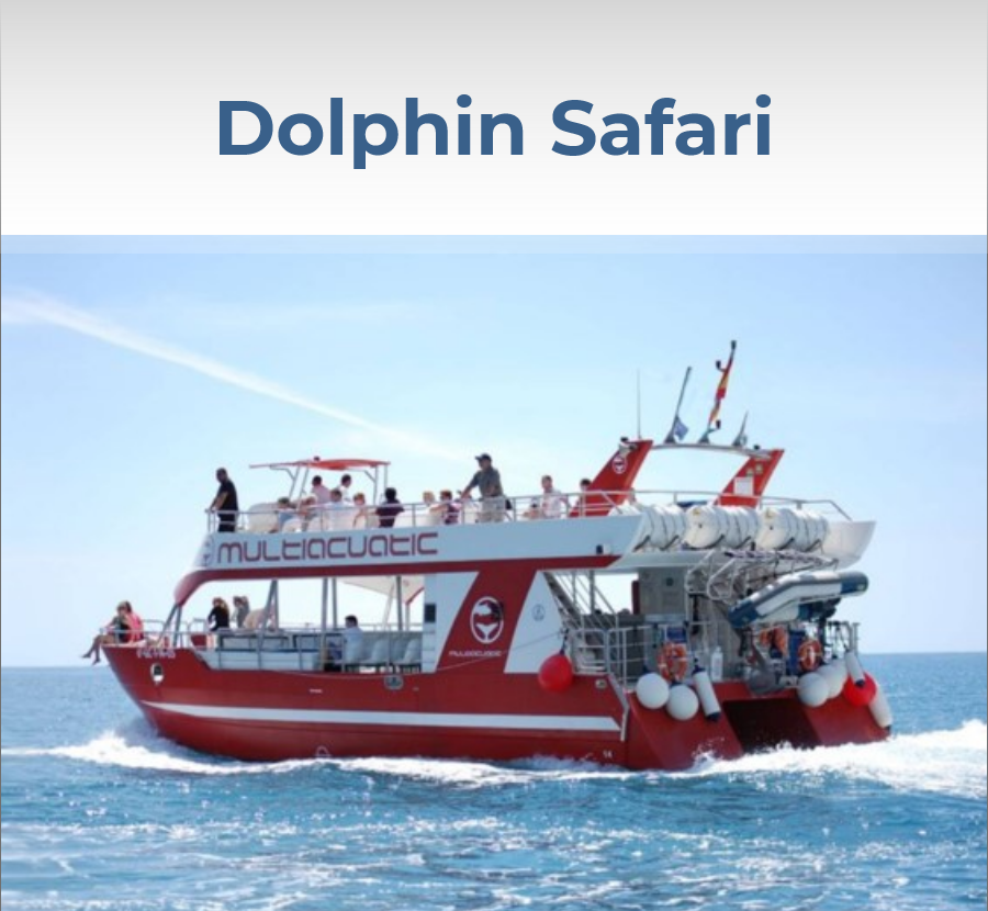 dolphin boat safari avis